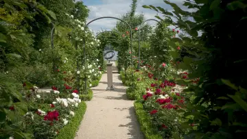 Задник до фильму"Painting the Modern Garden: Monet to Matisse" #427309