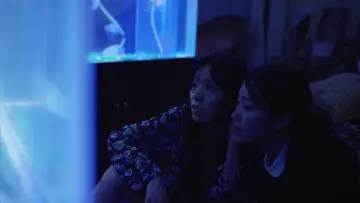Задник до фильму"リップヴァンウィンクルの花嫁" #1072049