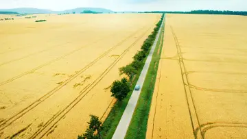 Задник до фільму "Чік" #418058
