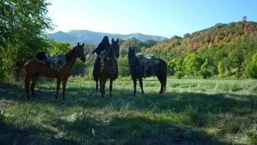 Задник до фільму "Міфіка: Залізна корона" #1574328