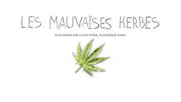 Задник до фільму "Les mauvaises herbes" #1573863