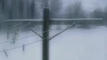 Задник до фильму"God Knows Where I Am" #1150189
