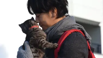 Задник до фільму "世界から猫が消えたなら" #1621374