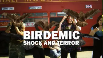 Задник до фильму"Birdemic: Shock and Terror" #1067103
