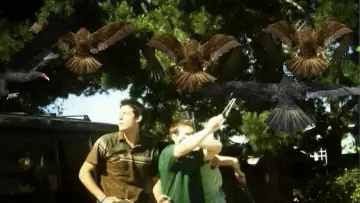 Задник до фильму"Birdemic: Shock and Terror" #1067104