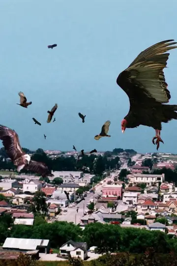 Постер до фильму"Birdemic: Shock and Terror" #1067111
