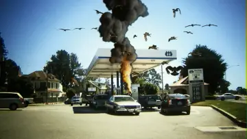 Задник до фильму"Birdemic: Shock and Terror" #424701