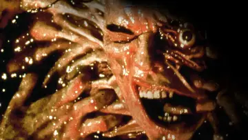 Задник до фильму"Amityville 1992: It