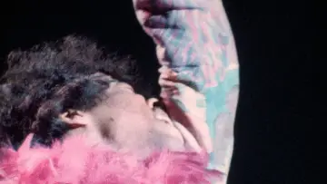 Задник до фильму"Monterey Pop" #1192395