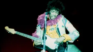 Задник до фильму"Monterey Pop" #498478
