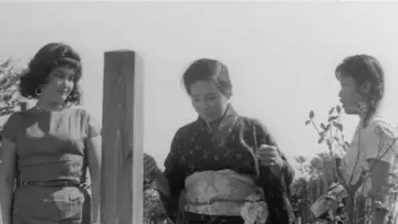 Задник до фільму "にっぽん昆虫記" #1862855