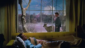 Задник до фильму"All That Heaven Allows" #1053719