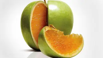 Задник до фильму"Freakonomics" #1132592