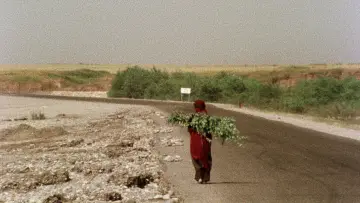 Задник до фільму "خاک سر به مهر" #915387