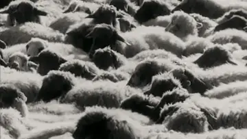 Задник до фільму "Времена года" #1919752