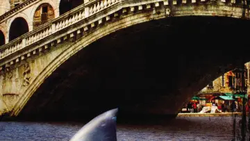Задник до фільму "Sharks in Venice" #1809295
