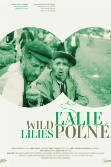 Постер до фильму"Ľalie poľné" #733847