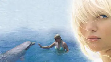 Задник до фільму "Eye of the Dolphin" #1790523