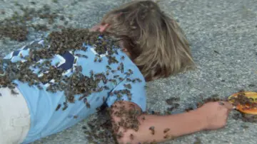 Задник до фильму"The Swarm" #901879