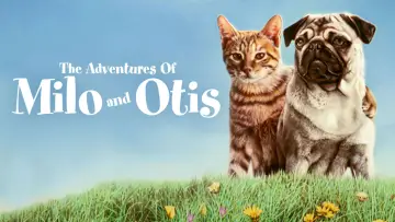 Задник до фильму"子猫物語" #1048337
