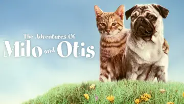 Задник до фильму"子猫物語" #1048339