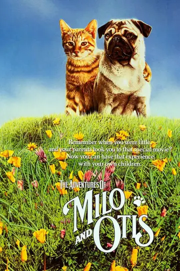 Постер до фильму"子猫物語" #1048345