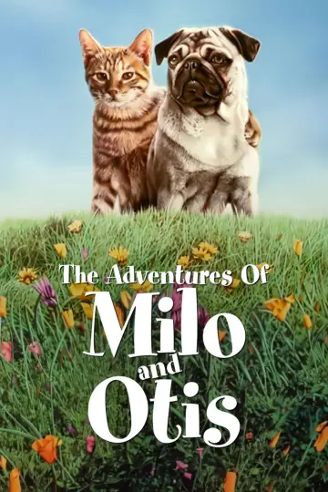 Постер до фильму"子猫物語" #1048346