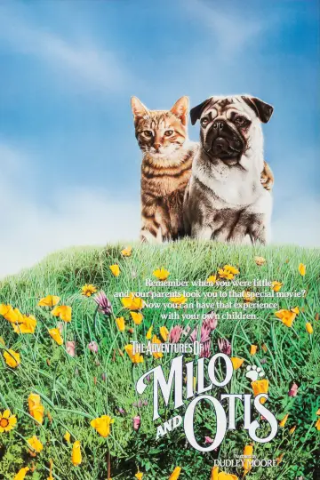 Постер до фильму"子猫物語" #1048349