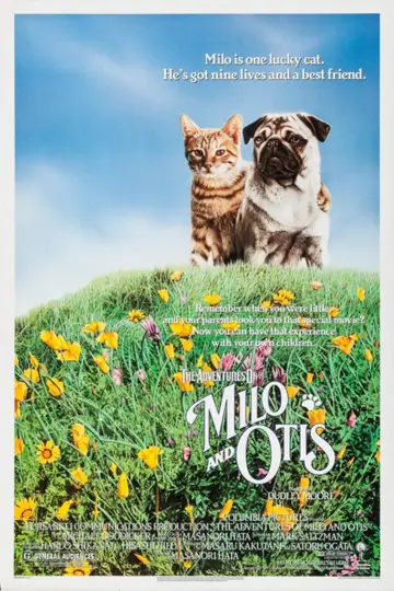 Постер до фильму"子猫物語" #1048350