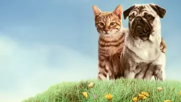 Задник до фильму"子猫物語" #409198