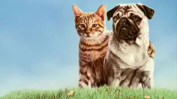 Задник до фильму"子猫物語" #409200