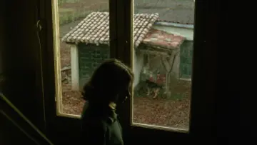 Задник до фильму"El sur" #535720