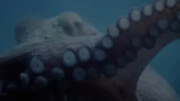 Задник до фильму"Tentacoli" #482009