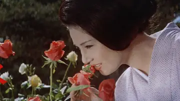 Задник до фильму"花と蛇" #951215