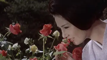 Задник до фильму"花と蛇" #951219