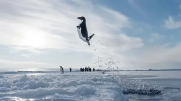 Задник до фильму"L