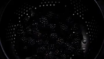 Задник до фильму"I Am the Pretty Thing That Lives in the House" #1012817