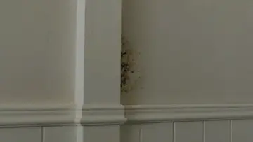 Задник до фильму"I Am the Pretty Thing That Lives in the House" #1012820