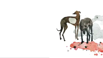 Задник до фільму "Hounds of Love" #304521