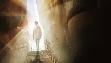 Задник до фильму"The Man from Earth: Holocene" #904447