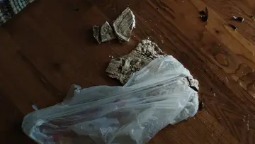 Задник до фильму"У цьому світі я більше не відчуваю себе як вдома" #997964