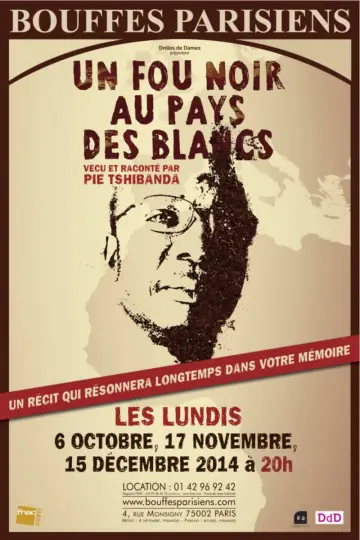 Постер до фильму"Un fou noir au pays des blancs" #945013