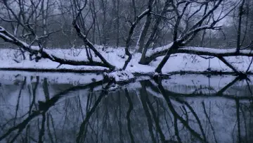 Задник до фільму "Нелюбов" #1747964