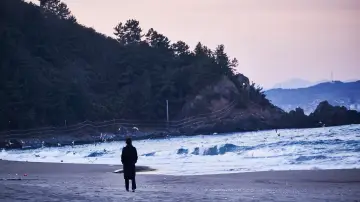 Задник до фильму"밤의 해변에서 혼자" #400061