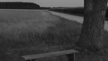 Задник до фільму "Холодна війна" #1185231