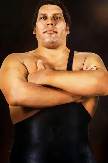 Постер до фильму"Andre the Giant" #1057667