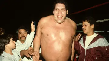 Задник до фильму"Andre the Giant" #433607