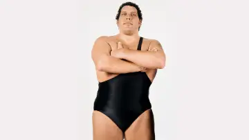 Задник до фильму"Andre the Giant" #433612
