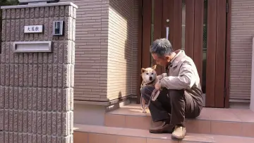 Задник до фильму"いぬやしき" #335756