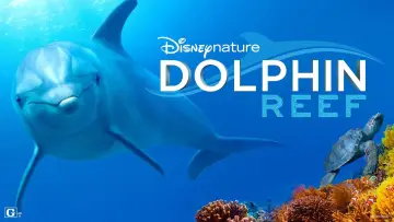 Задник до фильму"Dolphin Reef" #1079495